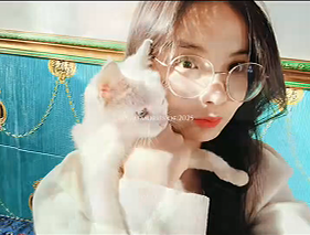 照片11